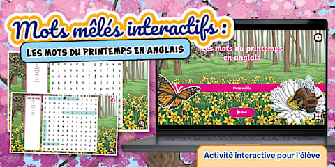 Lightning Languages | French | In Orbit | Mealtimes Interactive ...