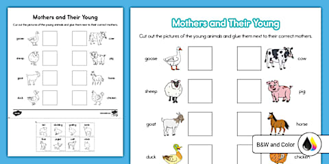 Spring Animals - Mothers and Babies Matching Worksheet