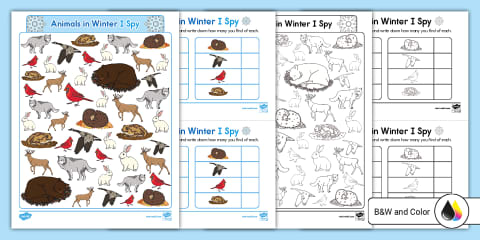 Hibernation: Animals in Winter Can You Find? Picture Activity