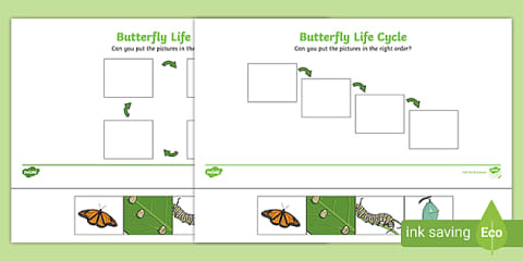 Caterpillar Life Cycle Cut and Stick Worksheet EYFS