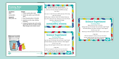 Grow a Bean in a Bag EYLF Science Experiment and Prompt Card Pack