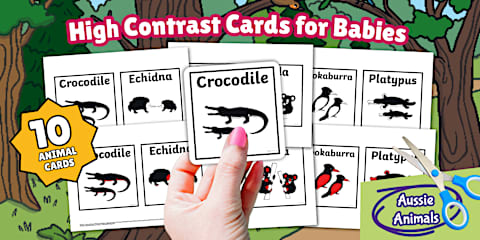 Auslan Australian Animals Matching Cards
