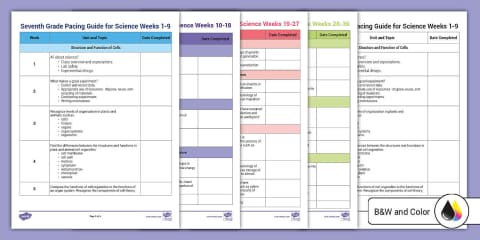 Weekly Pacing Guide for Sixth Grade Math