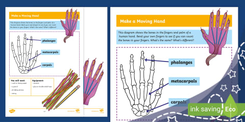 Finger Joints Model Paper Craft