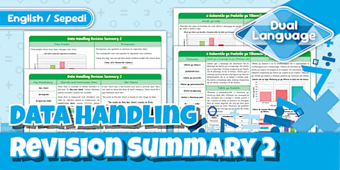 Grade 4 Maths - Term 4 - Data Handling Revision Summary 1 - Sepedi ...