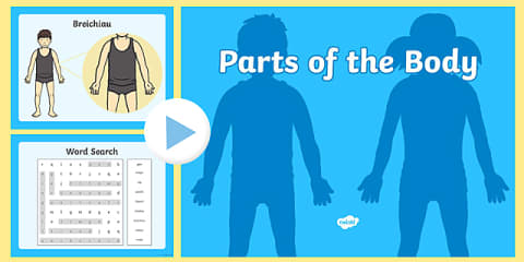 Interactive Body Parts Matching Game - German PowerPoint
