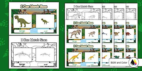 Realistic Dinosaurs Size Sorting Activity
