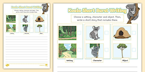 Koala Colour By Number Quiz