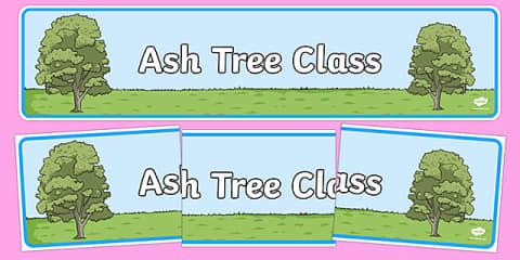 Birch Tree Themed Classroom Banner Silver Birch