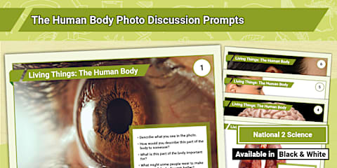 Living Things: The Human Body Mind Map Activity