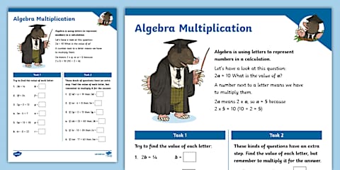 What's Algebra? PowerPoint