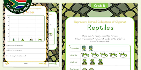 Grade R Maths - Term 4 Data Handling - Represent Sorted Collections of ...