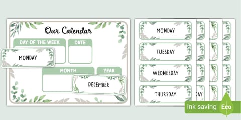 EYFS Dragonfly-Themed Daily Calendar and Weather Chart