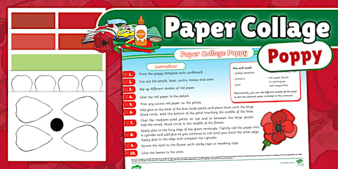 Graph Paper Poppy Poppy Outline Templates