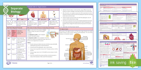 AQA GCSE Biology 5: Homeostasis and Response Higher Knowledge Organiser ...