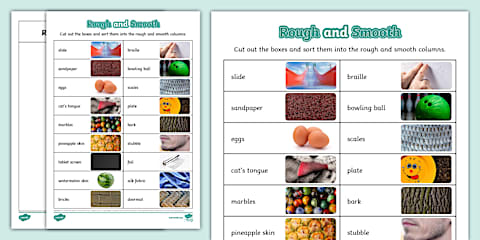 Textures Sorting Activity