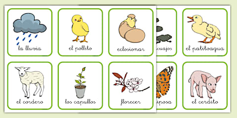 Cuadernillo de actividades: La primavera - Educación Infantil