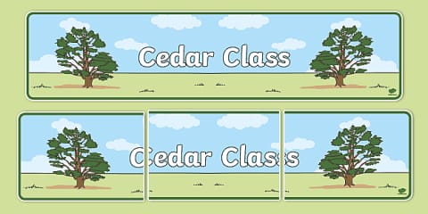 Cedar Tree Themed Classroom Display Banner