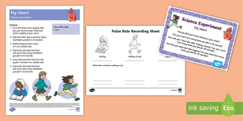 EYFS Make a Dinosaur Fossil Science Experiment and Prompt Card Pack