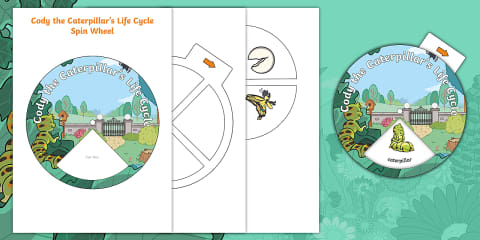 Caterpillar Life Cycle Cut and Stick Worksheet EYLF