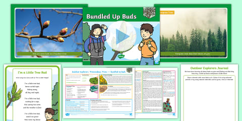 Outdoor Explorers - EYFS Summer - Lesson 4: Animal Babies Lesson Pack