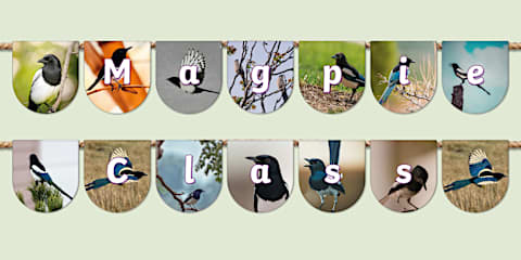Muted Botanical Themed Magpies Class Display Poster