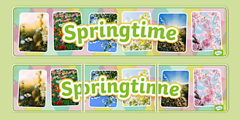 Spring Photo Display Banner