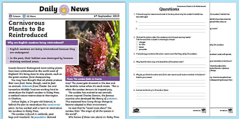 Create a Carnivorous Plant Worksheet