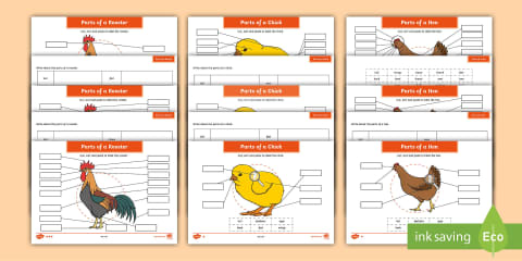 2D Shape Chick Cutting Skills Worksheets
