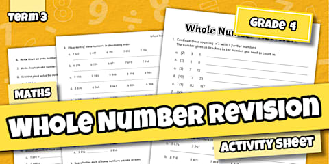 Grade 4 - Maths - Numbers - Activity Sheet (CAPS Aligned)
