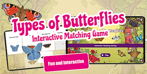 Foundation Phase - Natural Sciences - Amphibians- Interactive Matching ...