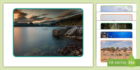 World Environment Day Display Pack