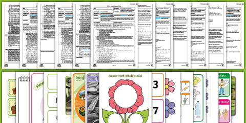 EYFS Plants and Growing Activity Planning and Continuous Provision ...