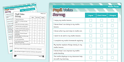Pupil Voice Staff Questionnaire Form