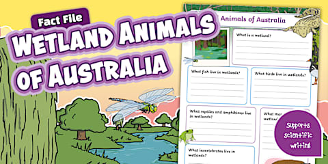 Australia's Oceans and Seas PowerPoint
