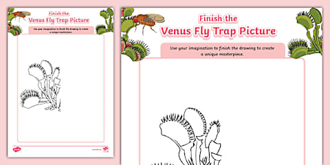 Create a Carnivorous Plant Worksheet