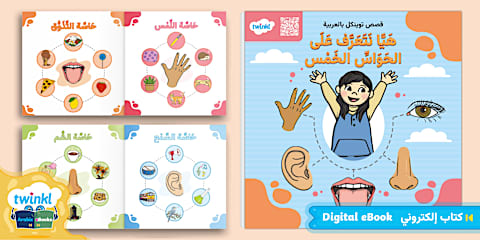 I Can Activity Sheet About the Five Senses