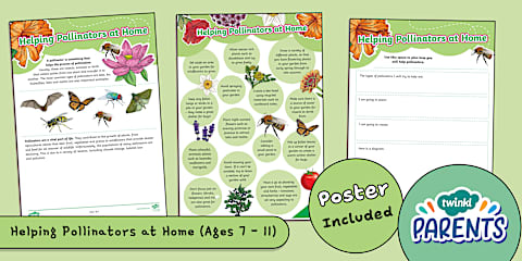 Year 6 Biodiversity Lesson 1: What's the Point of Pollinators?