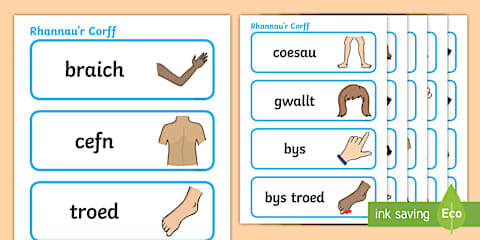 Parts of the Body Word Cards Welsh