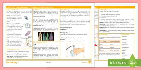AQA GCSE Biology 5: Homeostasis and Response Foundation Knowledge ...