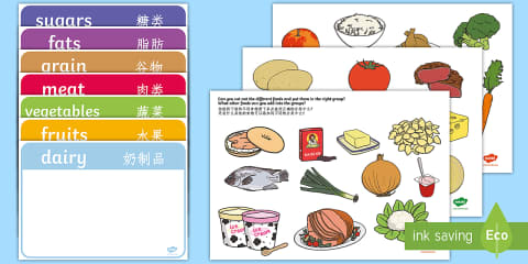 Healthy Eating Divided Plate Sorting Activity Romanian Translation