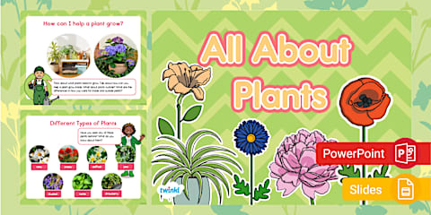 Life Cycle of a Plant PowerPoint & Google Slides for K-2nd Grade