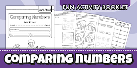 Teacher- Grade R Maths - Lesson Plan: Grade R Mathematics Number Concepts