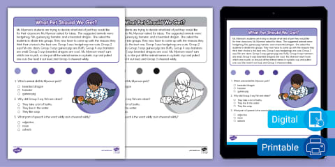 Kindergarten The New Pet Reading Passage Comprehension Worksheet
