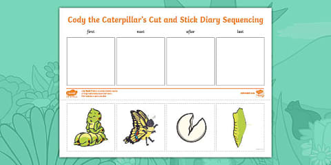 Caterpillar Life Cycle Cut and Stick Worksheet EYFS