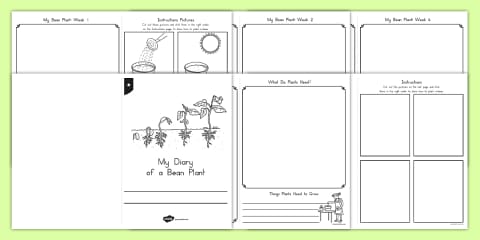 Grow a Bean in a Bag EYLF Science Experiment and Prompt Card Pack