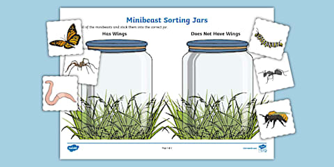 Minibeasts: More Or Less FS