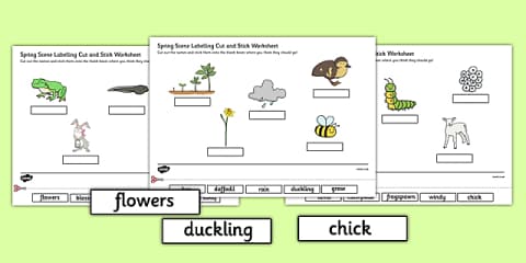 Twinkl Symbols: Spring Cut and Stick Symbol Matching Activity