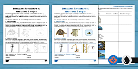 Materials Used in Human Made Structures and Why They're Used Activity ...
