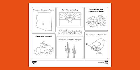 Arizona Flag Investigation Worksheet for 1st-2nd Grade